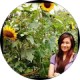 Joyce Gonzaga