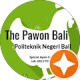 THE PAWON BALI