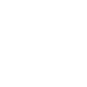 LOYO & BONDAR