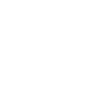 Nedvex