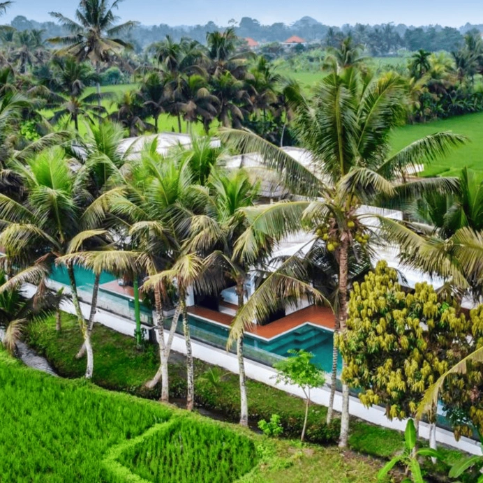 Bali Investments — 5