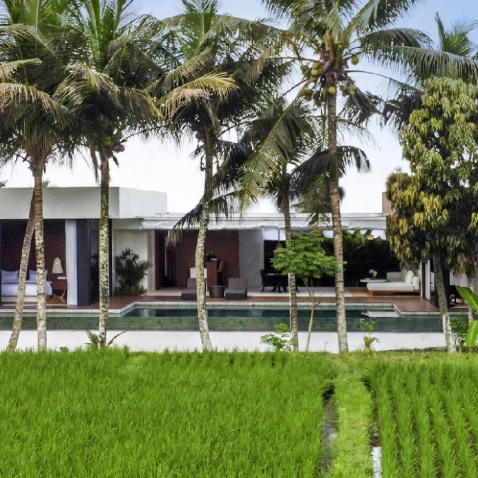 Bali Investments — 6