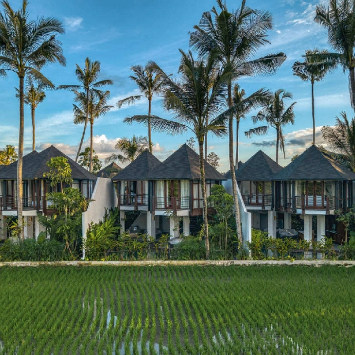 Jungle Flower Villas — 1