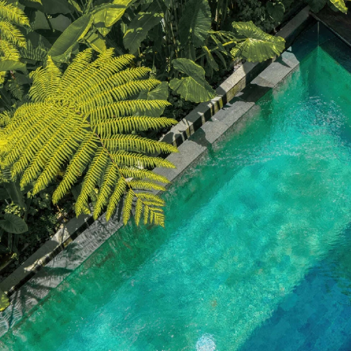 Jungle Flower Villas — 4