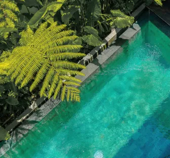 Jungle Flower Villas